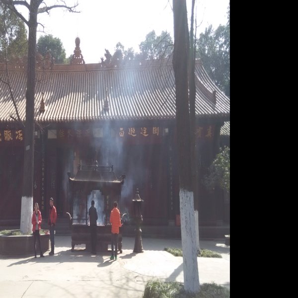 成都昭觉寺 - 图片7