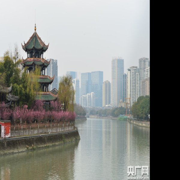 成都望江楼 - 图片8