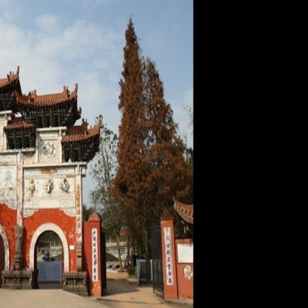 遂宁广德寺 - 图片7
