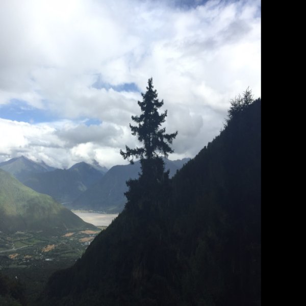 林芝苯日神山 - 图片8