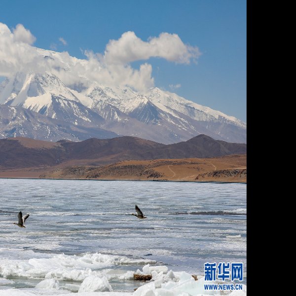阿里玛旁雍错 - 图片7