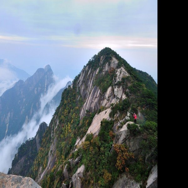 安徽黄山风景区 - 图片1
