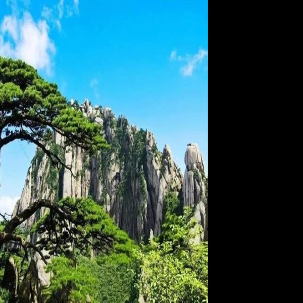 安徽黄山风景区 - 图片4