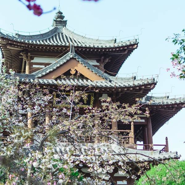 西安青龙寺 - 图片1