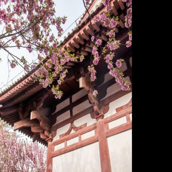 西安青龙寺 - 图片6