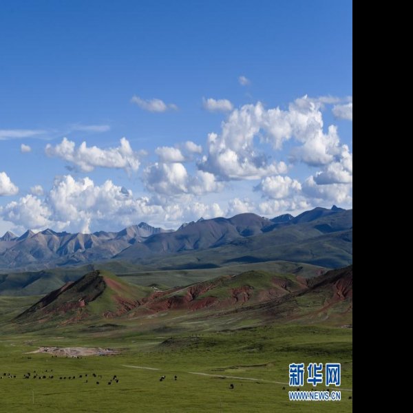 青海玉树 - 图片3