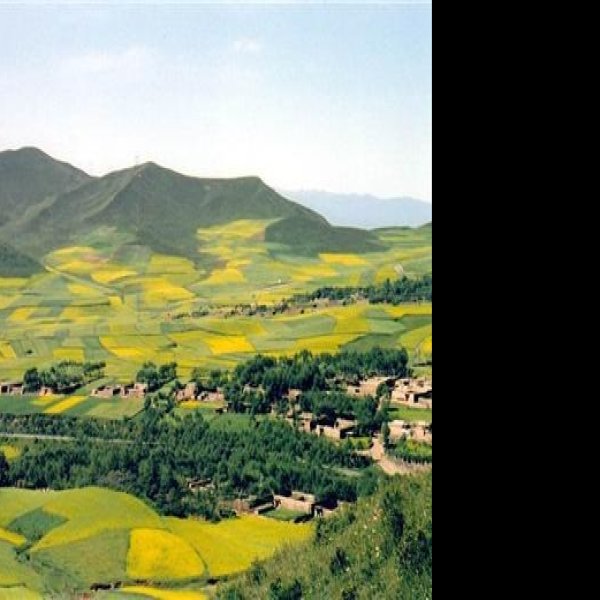 青海玉树 - 图片8
