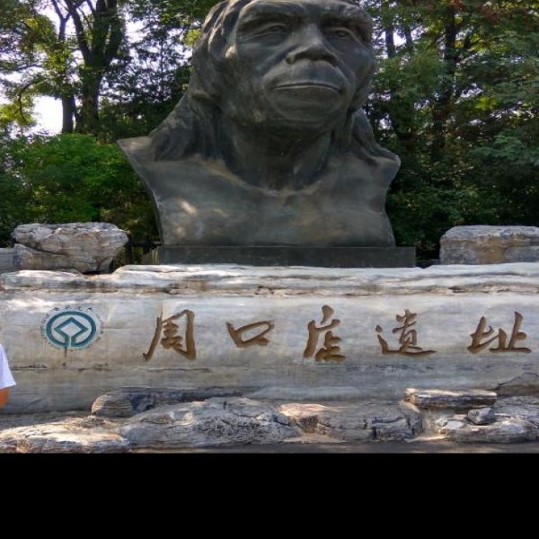 北京猿人遗址 - 图片2