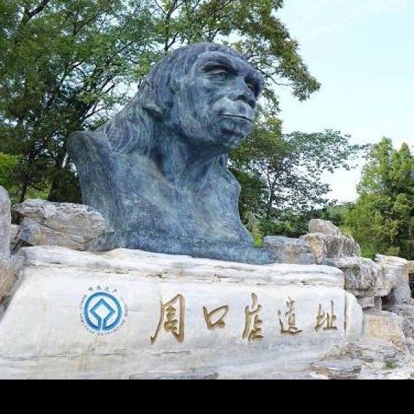 北京猿人遗址 - 图片7