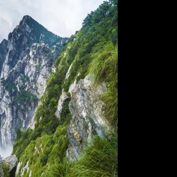 江西庐山风景名胜区 - 图片5