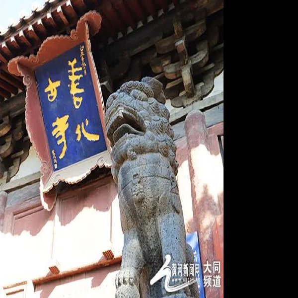山西大同善化寺 - 图片10