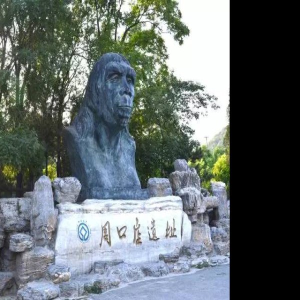 北京猿人遗址博物馆 - 图片10