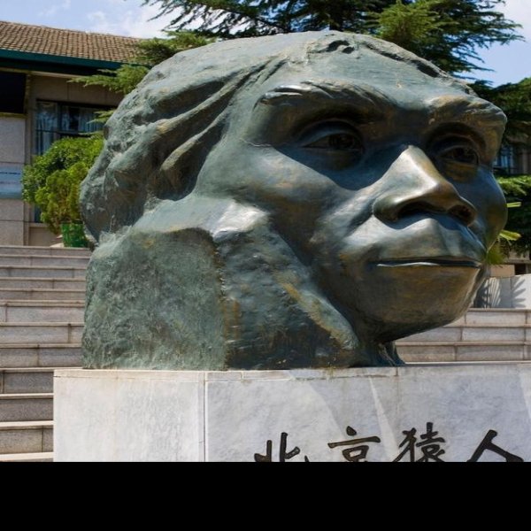 北京猿人遗址博物馆 - 图片6