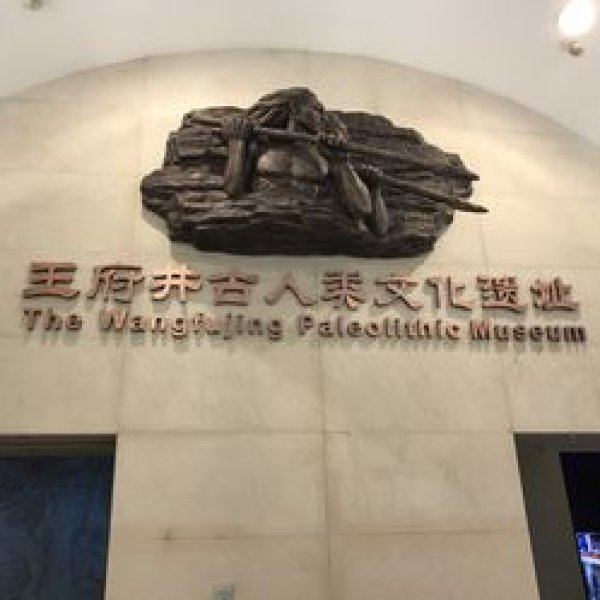 北京王府井古人类文化遗址 - 图片7