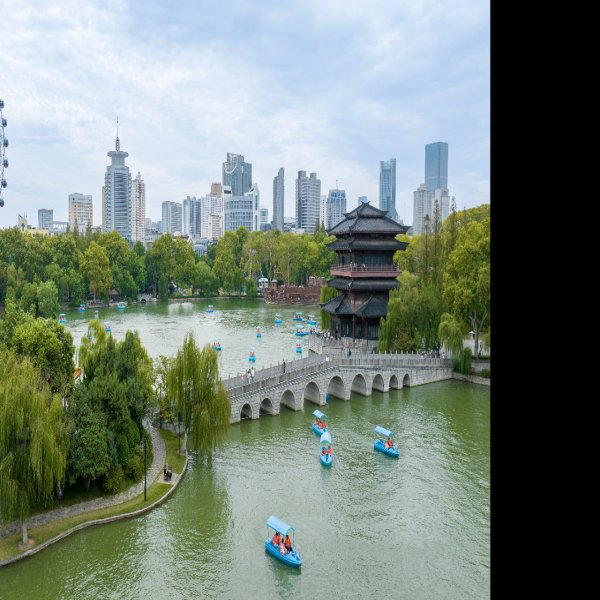 安徽合肥逍遥津 - 图片9