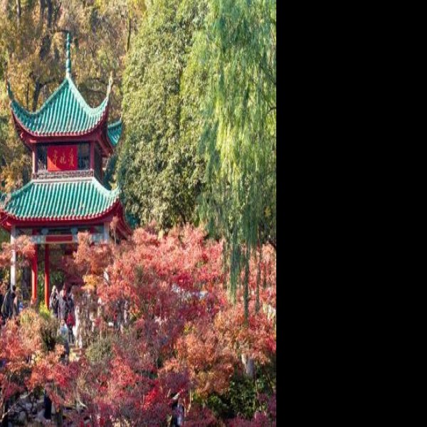 湖南长沙岳麓山 - 图片10