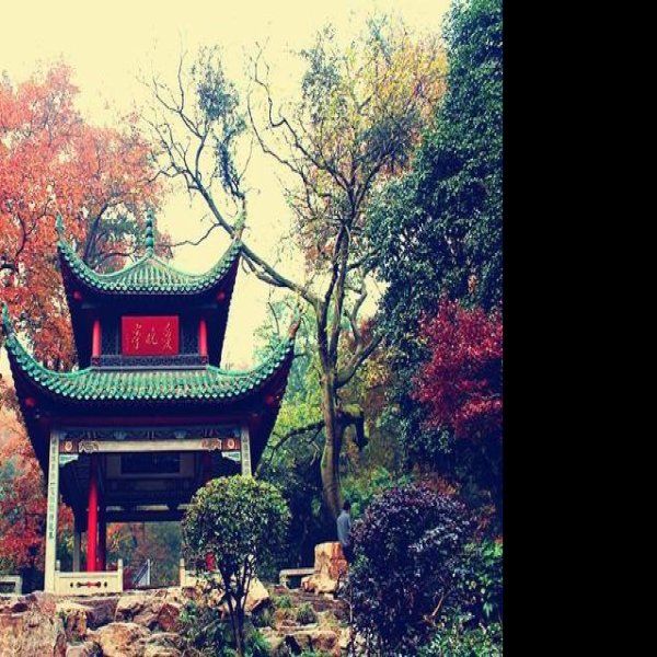 湖南长沙岳麓山 - 图片6