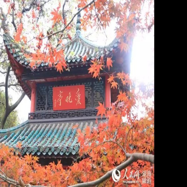 湖南长沙岳麓山 - 图片7