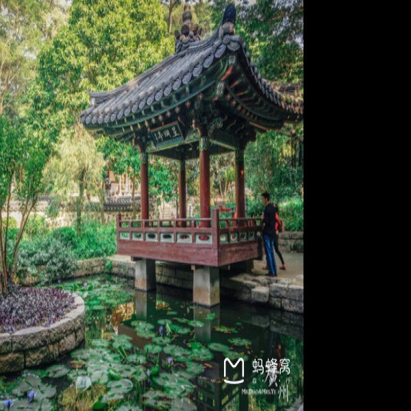 广东广州越秀公园 - 图片9