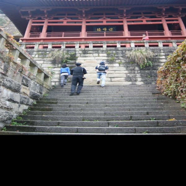 四川广元皇泽寺 - 图片2