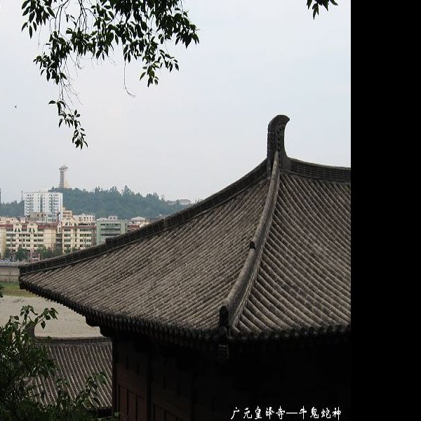 四川广元皇泽寺 - 图片7