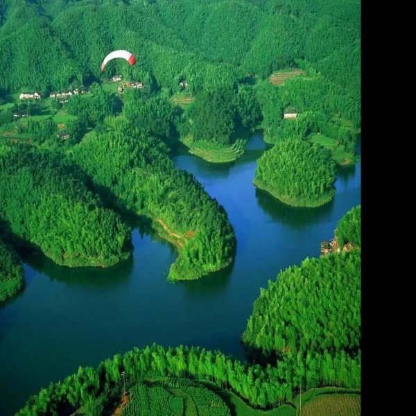 四川宜宾蜀南竹海 - 图片3