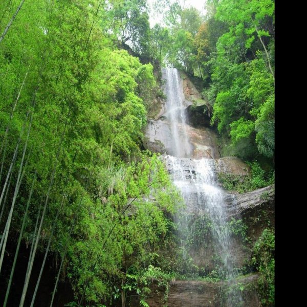 四川宜宾蜀南竹海 - 图片5