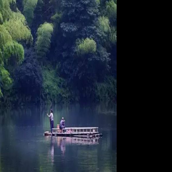 四川宜宾蜀南竹海 - 图片7