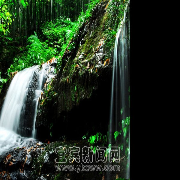 四川宜宾蜀南竹海 - 图片9