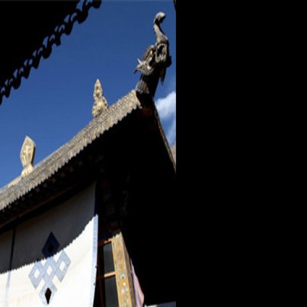 西藏拉萨色拉寺 - 图片10