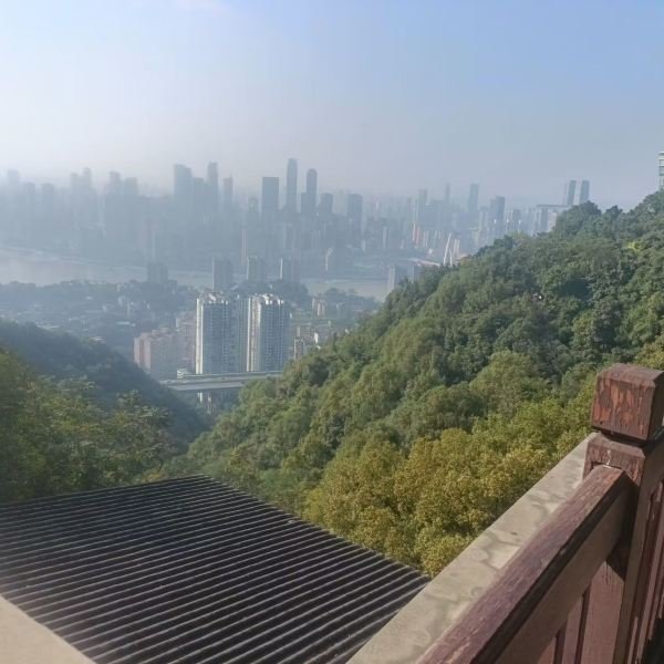 重庆南山 - 图片4