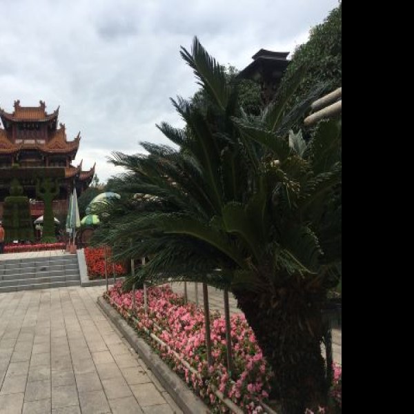 四川绵阳富乐山 - 图片10
