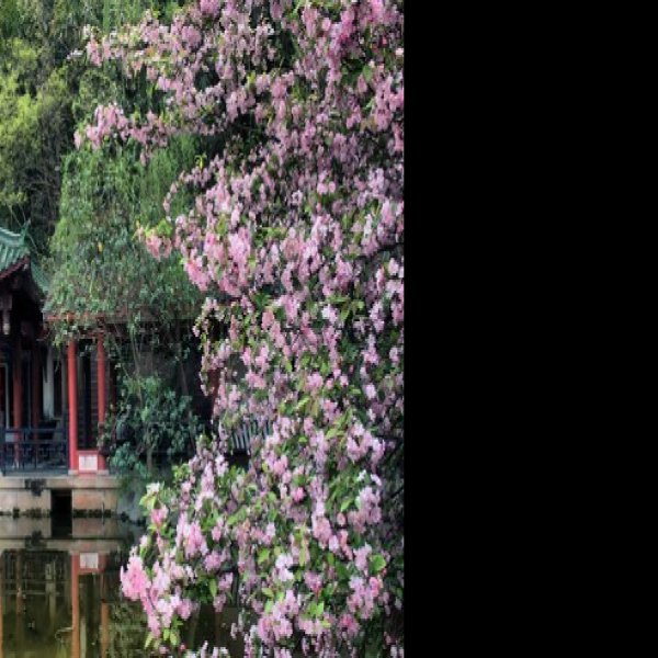 四川绵阳富乐山 - 图片9