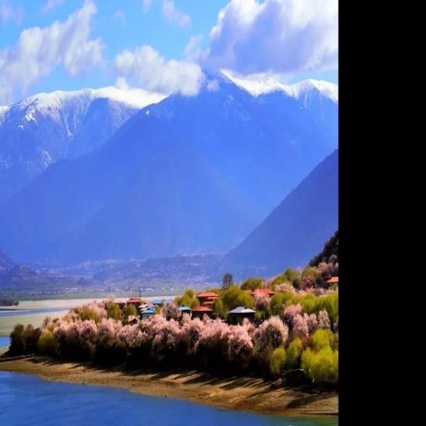 西藏林芝 - 图片1