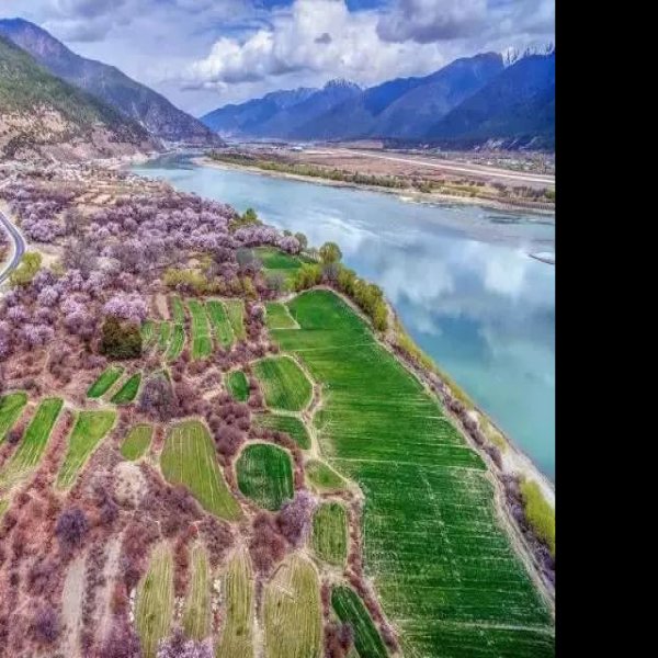西藏林芝 - 图片5