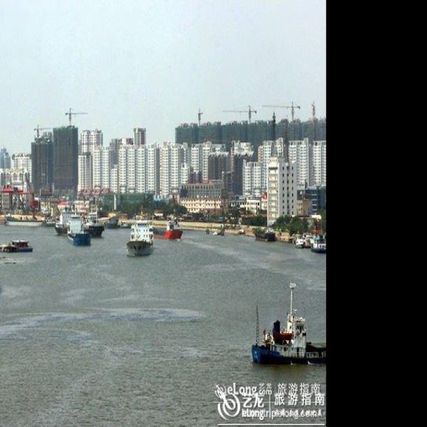 天津塘沽 - 图片1