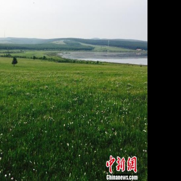 河北承德木兰围场 - 图片4