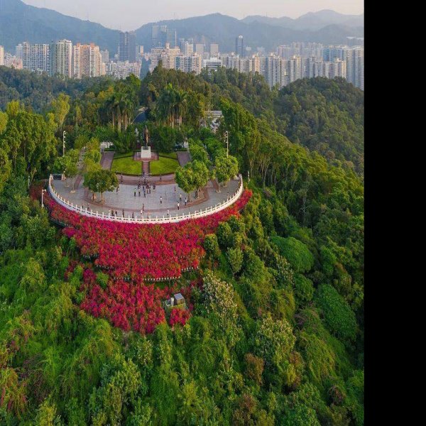 广东深圳莲花山 - 图片1