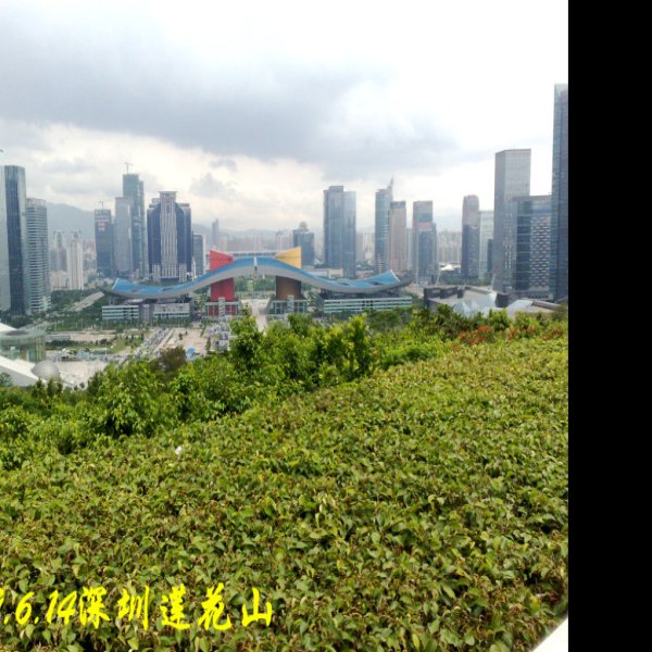 广东深圳莲花山 - 图片10