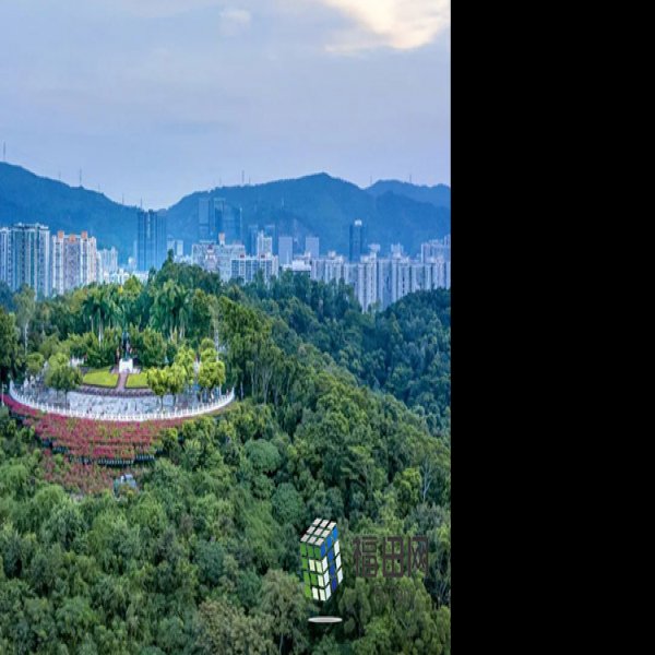 广东深圳莲花山 - 图片2