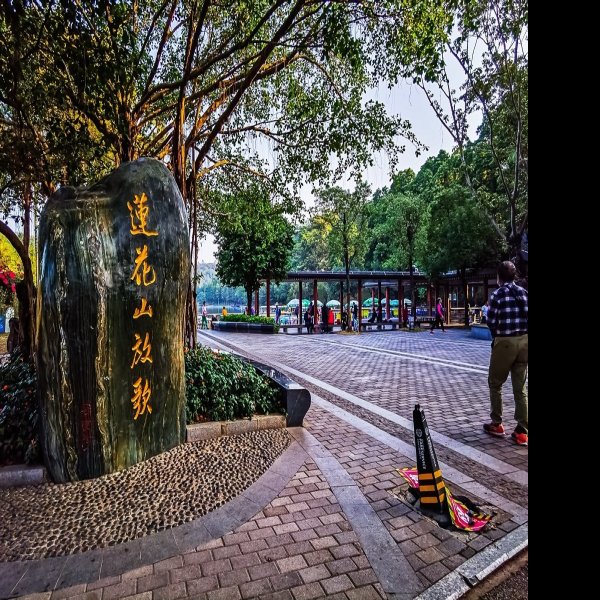 广东深圳莲花山 - 图片3
