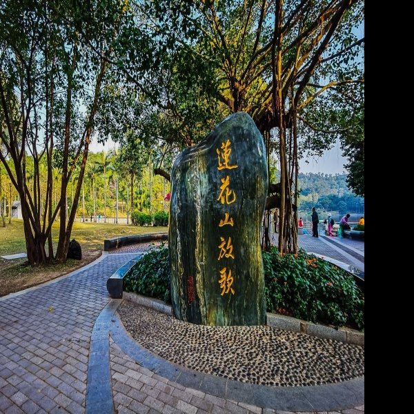 广东深圳莲花山 - 图片4
