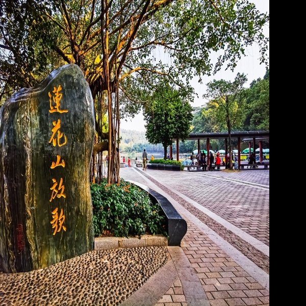 广东深圳莲花山 - 图片7