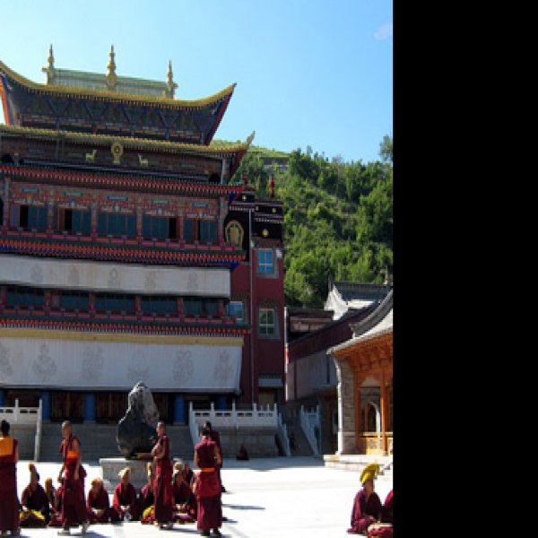 青海塔尔寺大金瓦殿 - 图片8