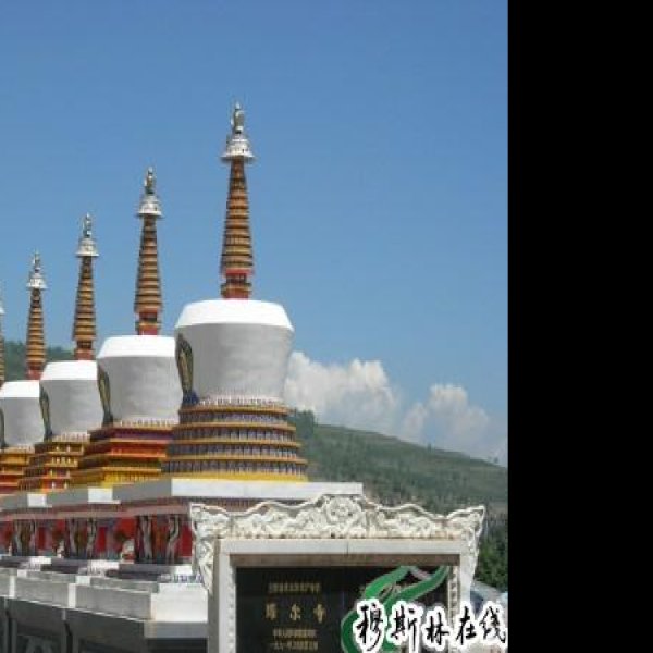 青海塔尔寺大金瓦殿 - 图片9