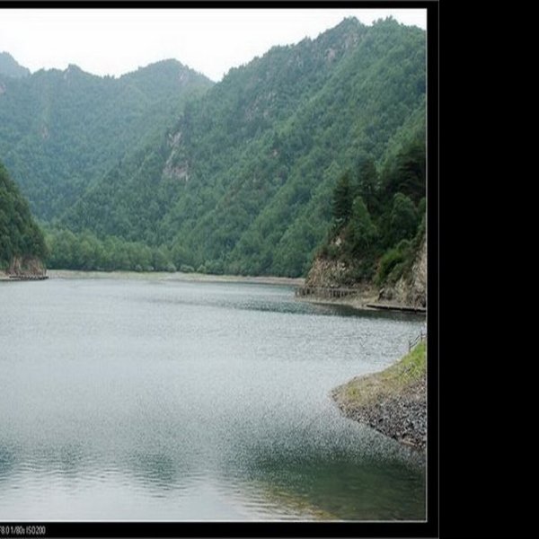 青海孟达天池 - 图片7