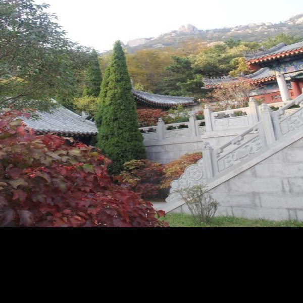 山东青岛崂山太清宫 - 图片10