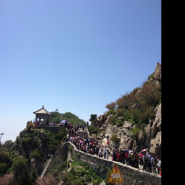 山东泰安泰山 - 图片7