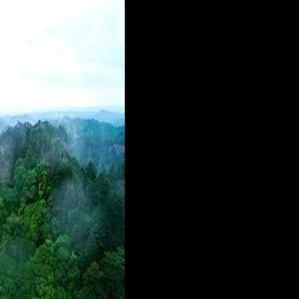甘肃天水麦积山 - 图片4