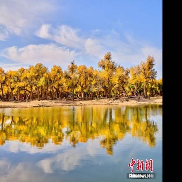 内蒙古阿拉善胡杨林 - 图片9